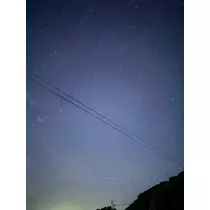 あみ
