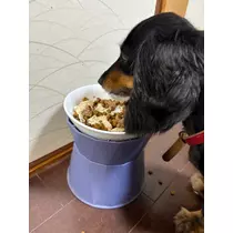 サキ