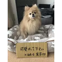 はるか
