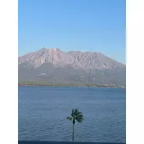 美月