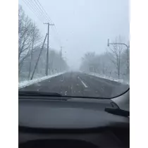 蓮見 リア