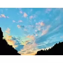 ゆかり