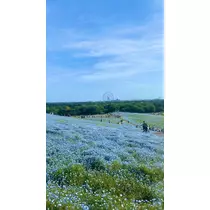 みらい