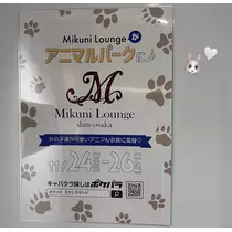 ののか