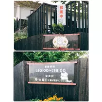 智華