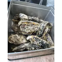 綾瀬 優