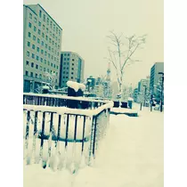 ゆかり