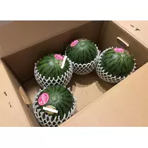 美月