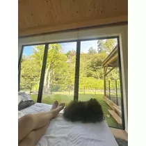 ヒカリ