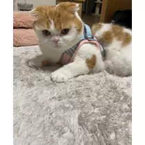 るな