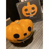 白石 愛莉