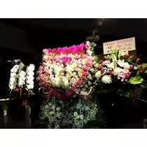 愛羽 仁美