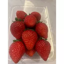ぽぽ