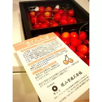 さくら