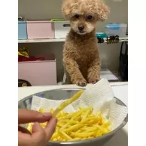 酔超丸 さな
