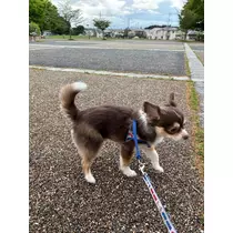 さな