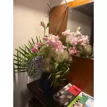 紬 むぎ