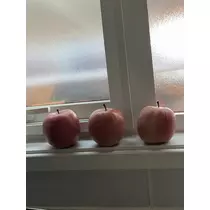 緑 四葉
