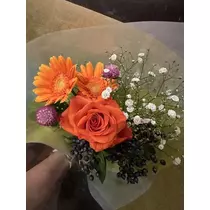 白石 愛莉