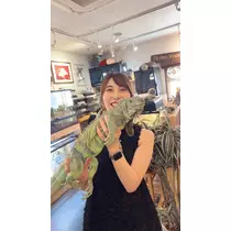 ゆうゆ