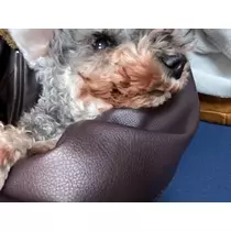 ほのか