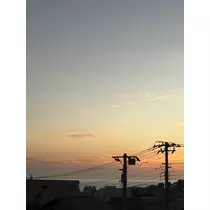 佐野 エマ
