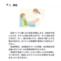 ひな
