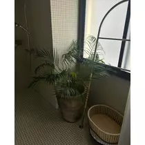 はる