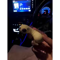 椿 れいら