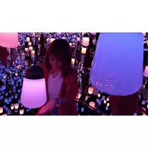 美羽