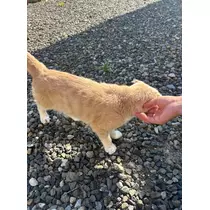 あい