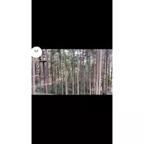 ありさ