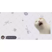 みお