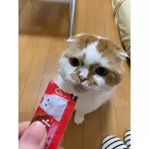れみ