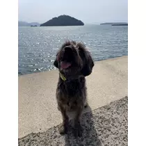 マイ