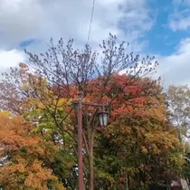 成海 まお