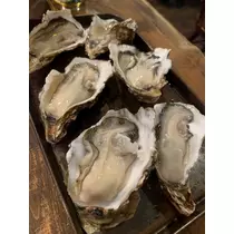 三鷹 真綺