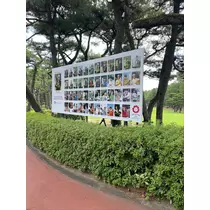 美月