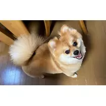 なお