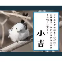 ひな