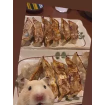 七星 夏純