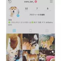 もも
