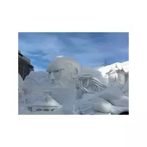 蓮見 リア