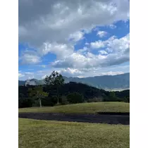美月