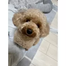 あいりちゃん