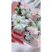 夢乃 サラ