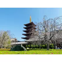 華宮 りりあ