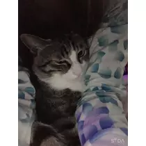 はる