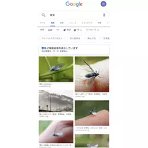 のはら かすみ