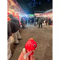 ゆみ